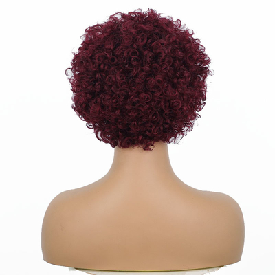 99J Bourgogne Bruine Indiase maagdelijke huidhuid Aligned Human Hair Lace Front Wigs for Small Size