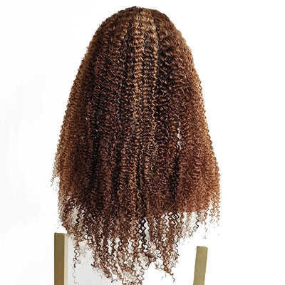 Remy Hair Braziliaans maagdelijk menselijk haar Kinky Curly Lace Voorhoede pruiken P4/27 voor zwarte vrouwen
